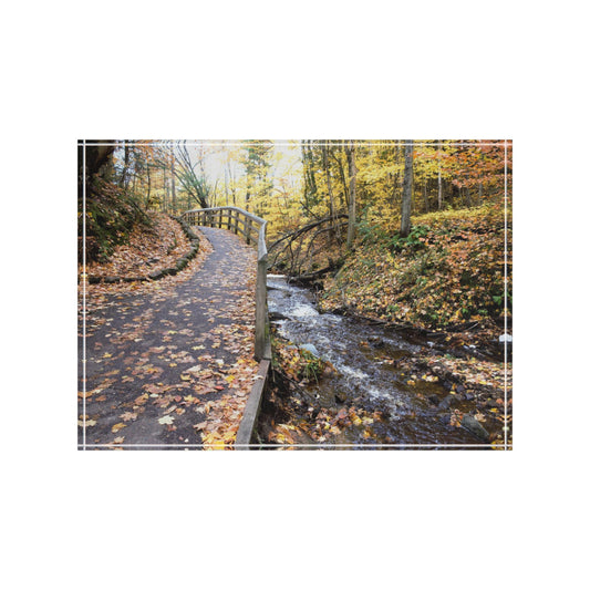 Photo Block - Walk in the woods