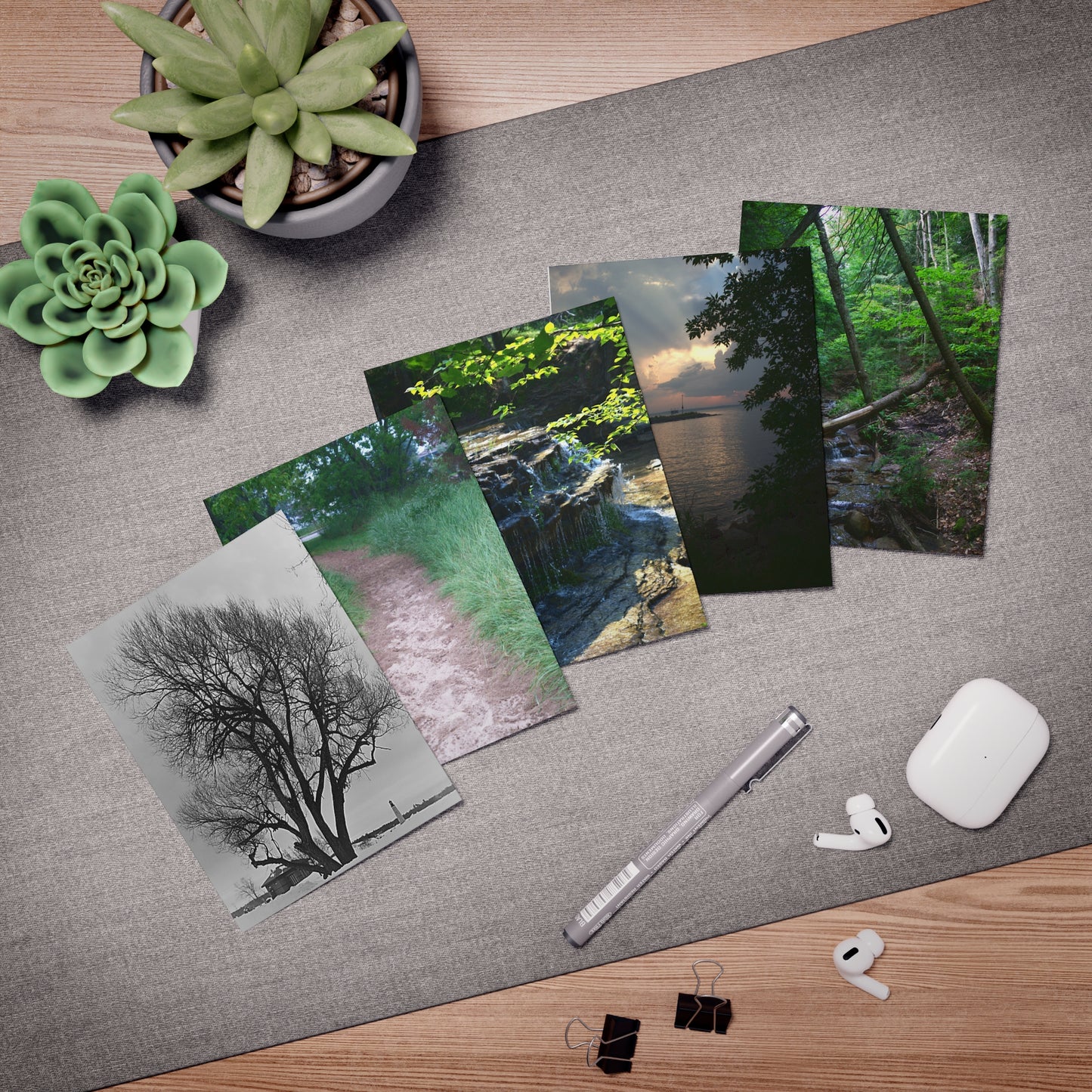 Multi-Design Greeting Cards (5-Pack) Nature All Occasion Cards