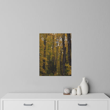 Wall Decals - Fall Colors