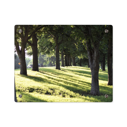 Acrylic Prints (Stand Off) - Walk in the park