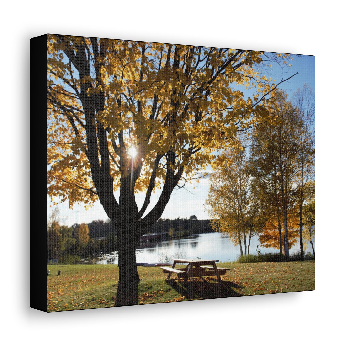 Canvas Gallery Wraps (Black Wrap) - Picinic by the river.