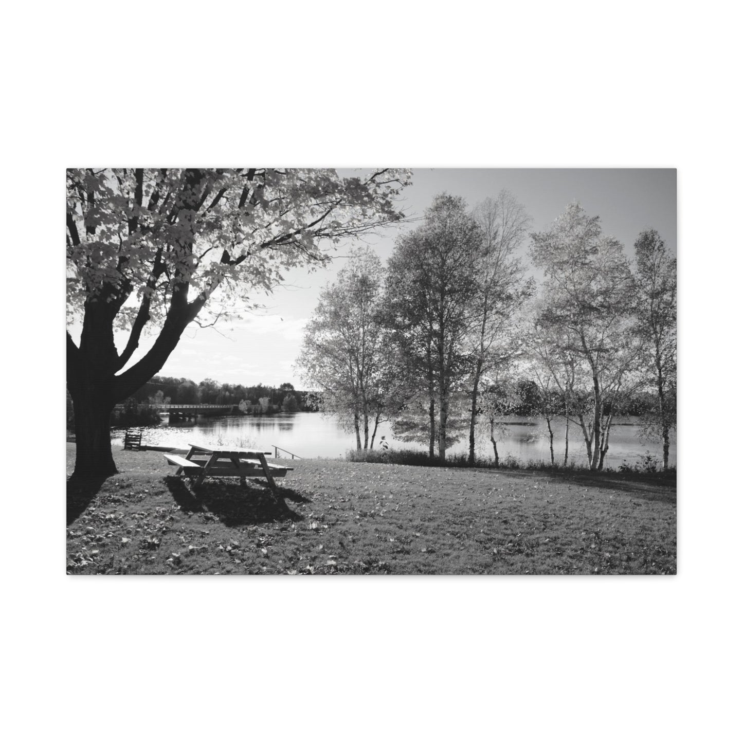 Canvas Gallery Wraps - Picinic by the river. Black and White