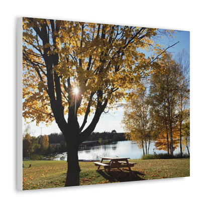 Canvas Gallery Wraps (White Wrap) - Fall picnic anyone