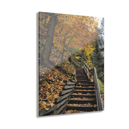 Acrylic Prints (French Cleat)  Stairway to Heaven, Home Decor, Wall Decor, Wall Art, Gift for Her, Nature Lover, Fall Season