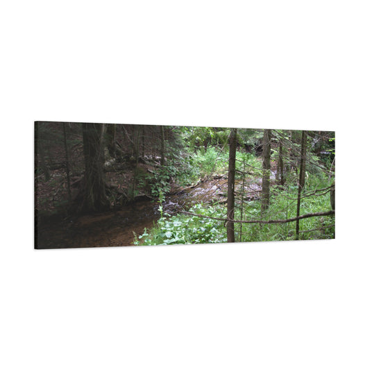 Down Stream from the falls 60" X 20" Matte Canvas, Stretched, 1.25"