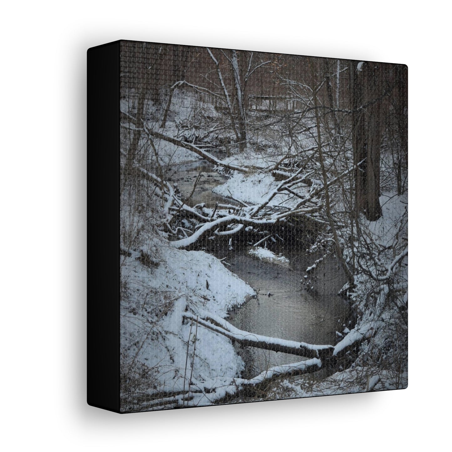 Canvas Gallery Wraps (Black Wrap) (Square) - Frozen pond in the park