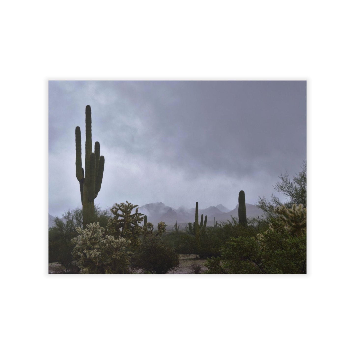 Wall Decals Desert morning fog