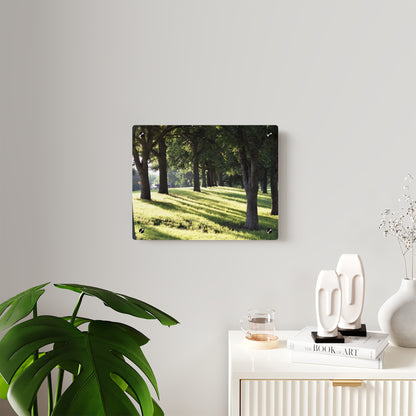 Acrylic Prints (Stand Off) - Walk in the park