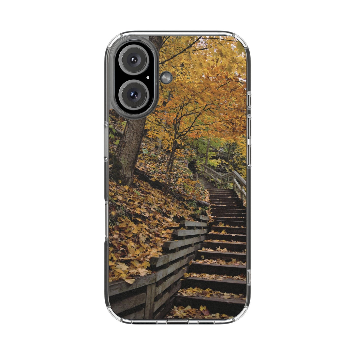 Clear Cases - Fall Walk to Heaven - iPhone 16 series, iPhone 15 series, iPhone 14 series, iPhone 13 series, IPhone 12 series