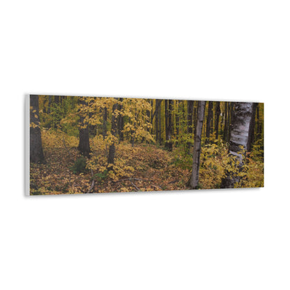 Canvas Gallery Wraps (White Wrap) - Golden Retreat