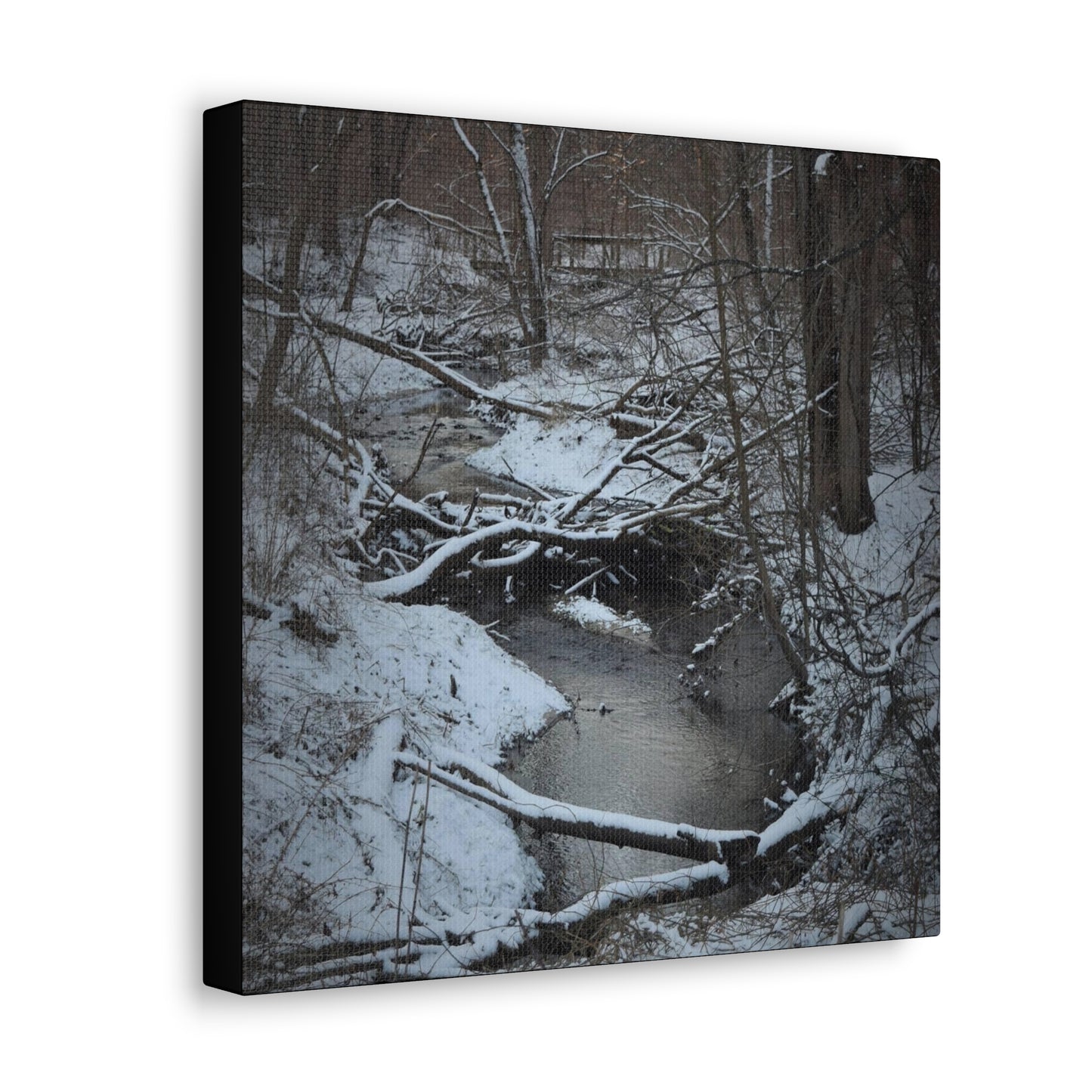 Canvas Gallery Wraps (Black Wrap) (Square) - Frozen pond in the park