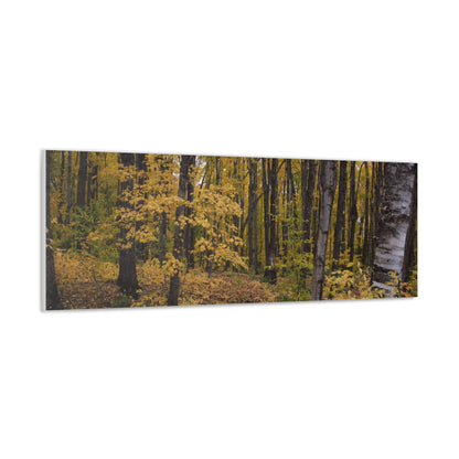 Canvas Gallery Wraps (White Wrap) - Golden Retreat