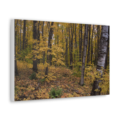 Canvas Gallery Wraps (White Wrap) - Golden Retreat