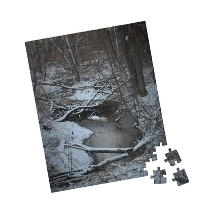 Puzzle (110, 252, 500, 1014-piece) Frozen pod in the park