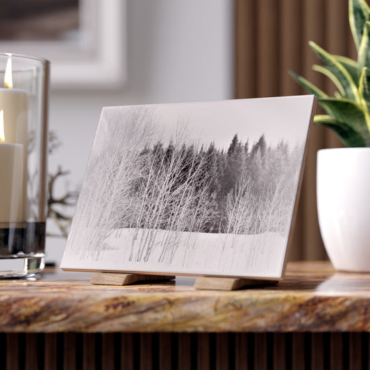 Ceramic Photo  Size 6" x 8"  Winter Field