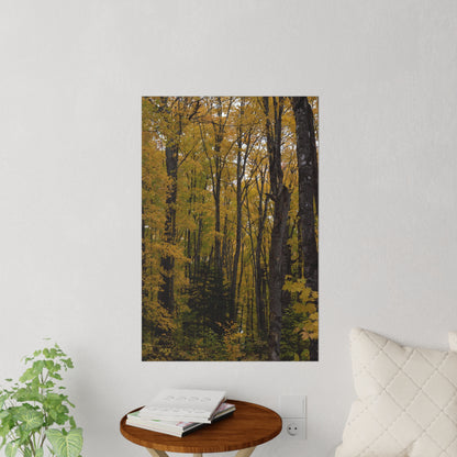 Wall Decals - Fall Colors