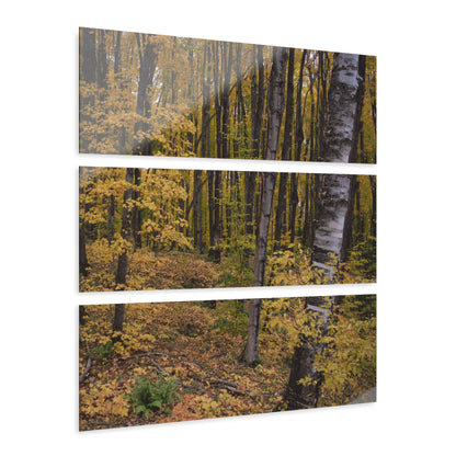 Acrylic Prints (Triptych) Walk to the falls