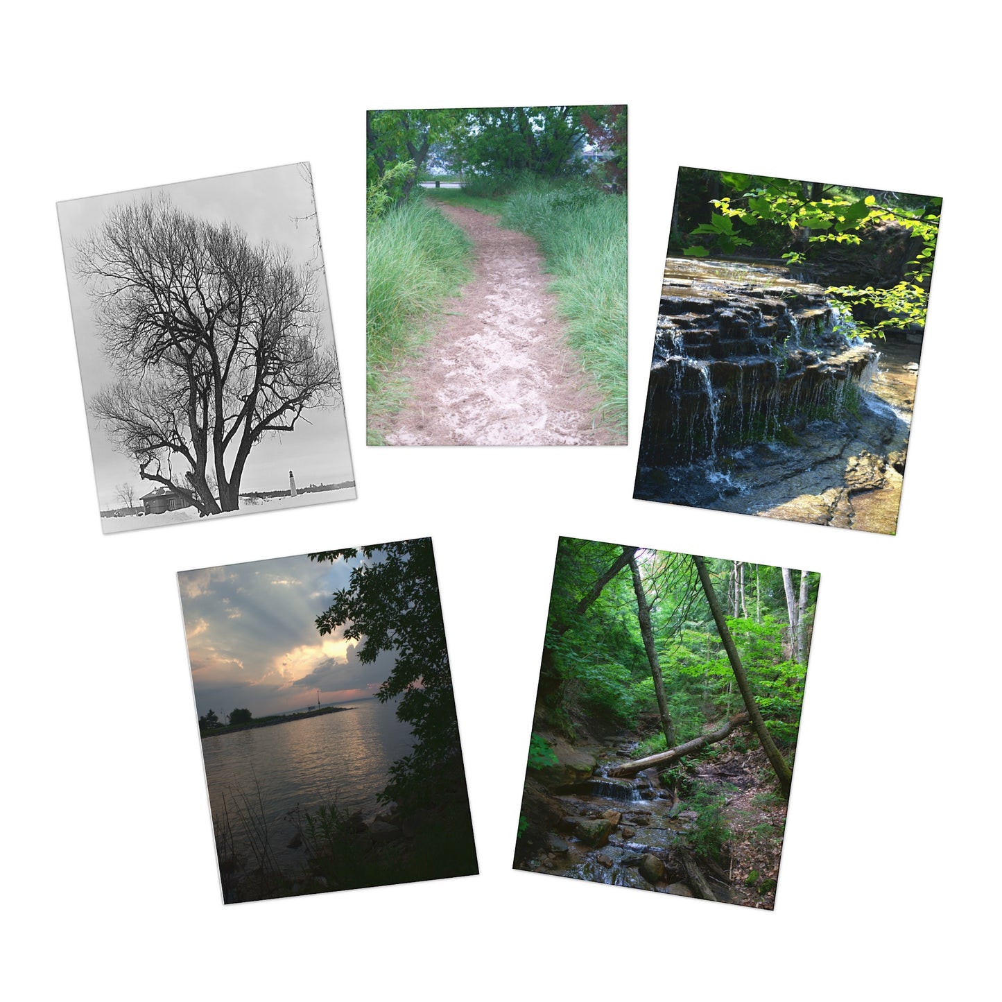 Multi-Design Greeting Cards (5-Pack) Nature All Occasion Cards