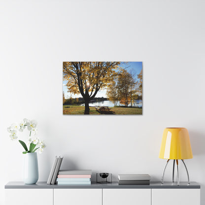 Canvas Gallery Wraps (White Wrap) - Fall picnic anyone