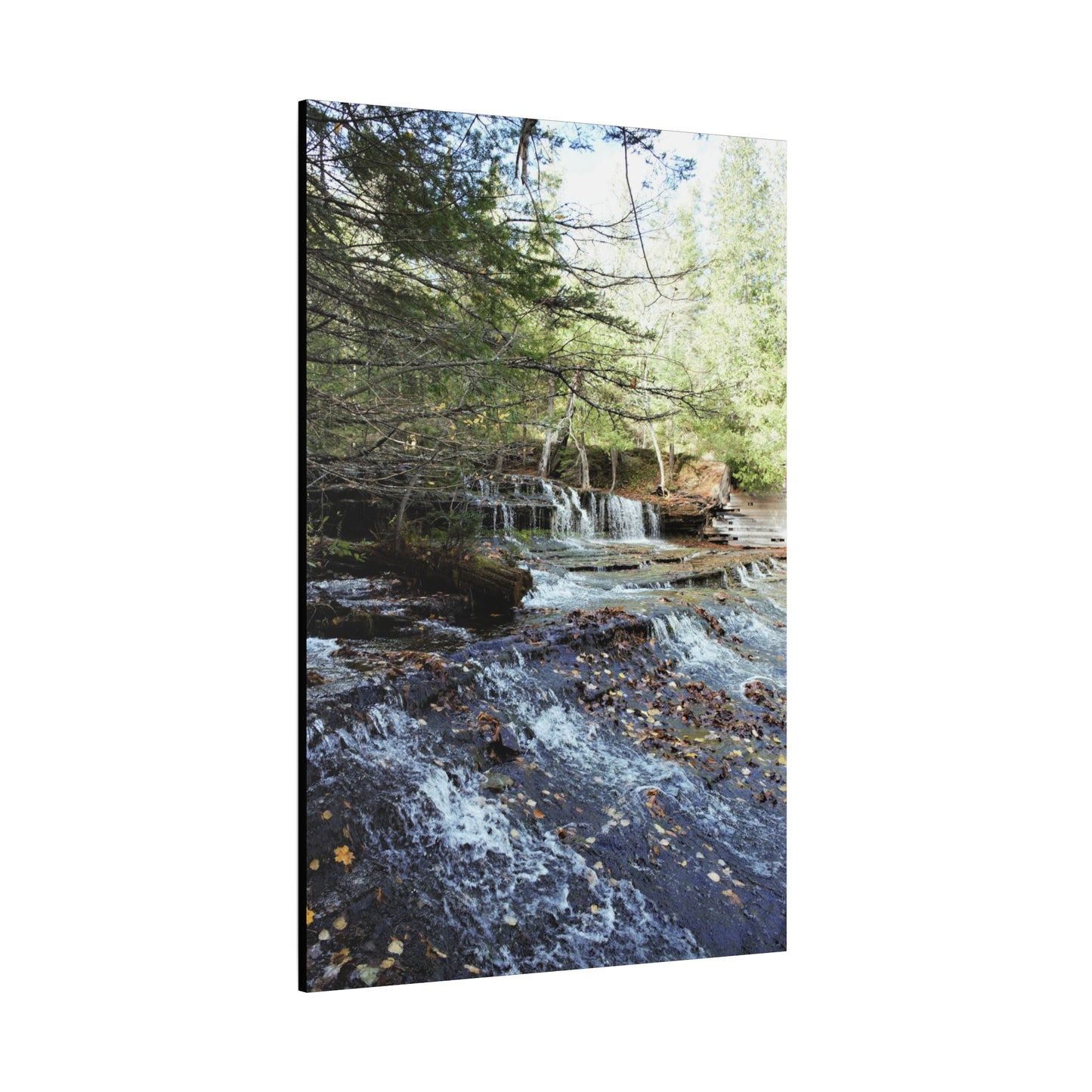 Matte Canvas, Stretched, 1.25" 2:3 Ratio Master Vertical  TEST