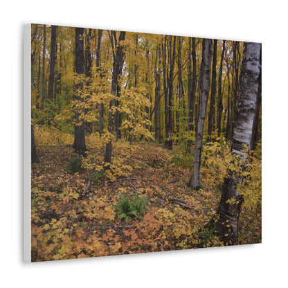 Canvas Gallery Wraps (White Wrap) - Golden Retreat