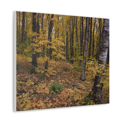 Canvas Gallery Wraps (White Wrap) - Golden Retreat