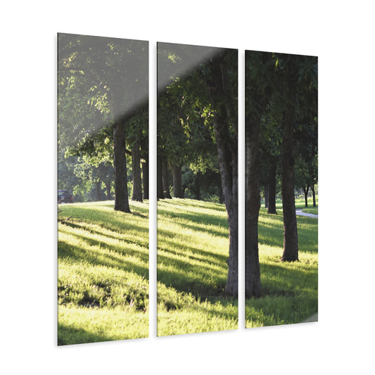 Acrylic Prints (Triptych) Walk in the park