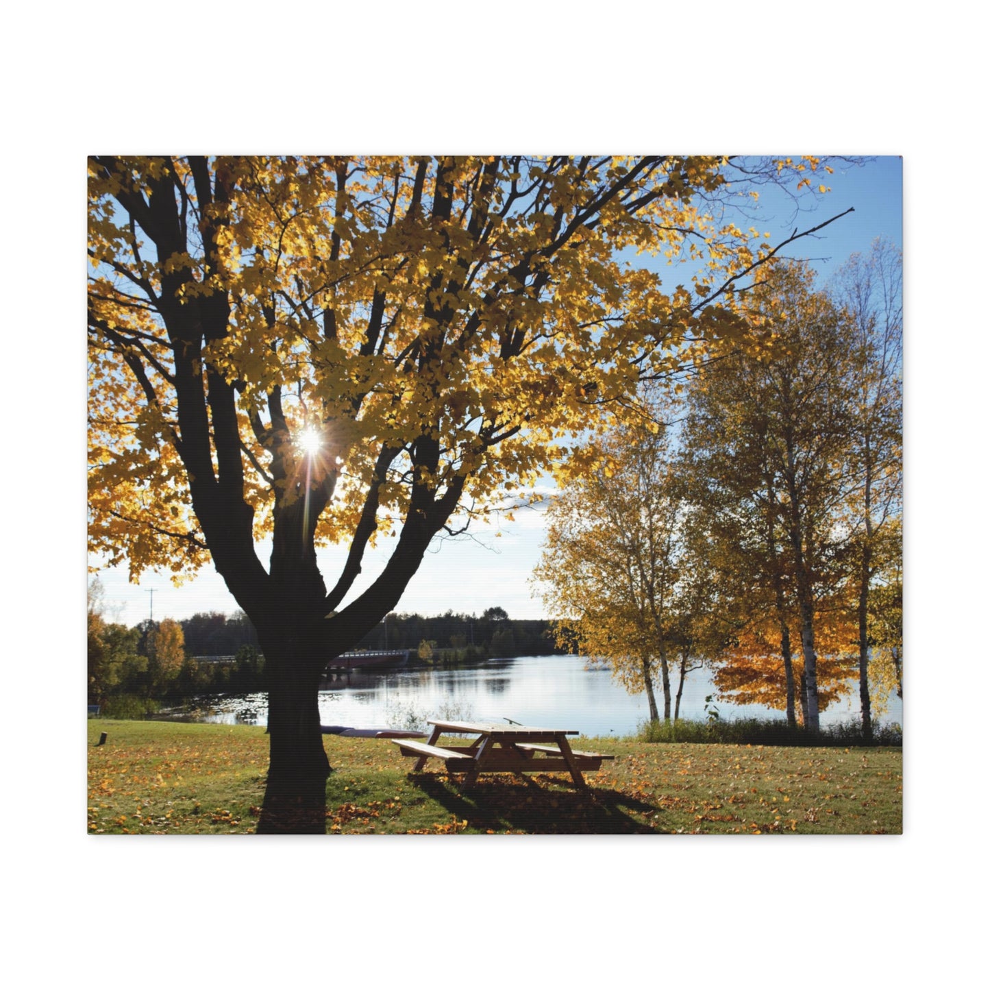 Canvas Gallery Wraps (White Wrap) - Fall picnic anyone