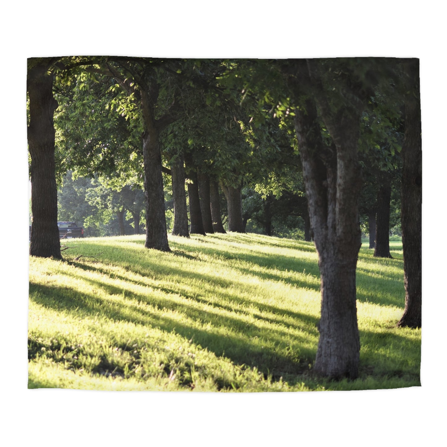 Microfiber Duvet Cover - Sunset kisses the grass