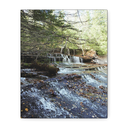 Matte Canvas, Stretched, 1.25" 2:3 Ratio Master Vertical  TEST