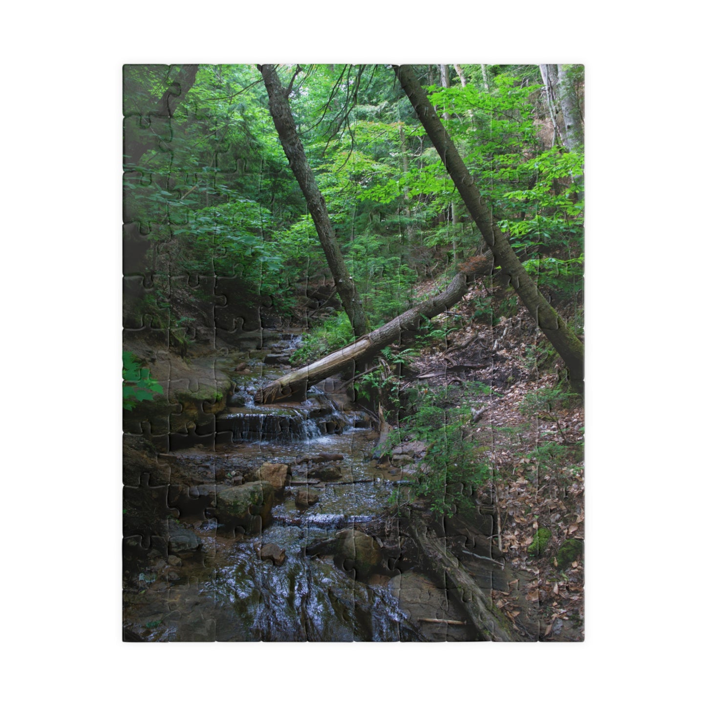 Puzzle (110, 252, 500, 1014-piece) Bonus Creek