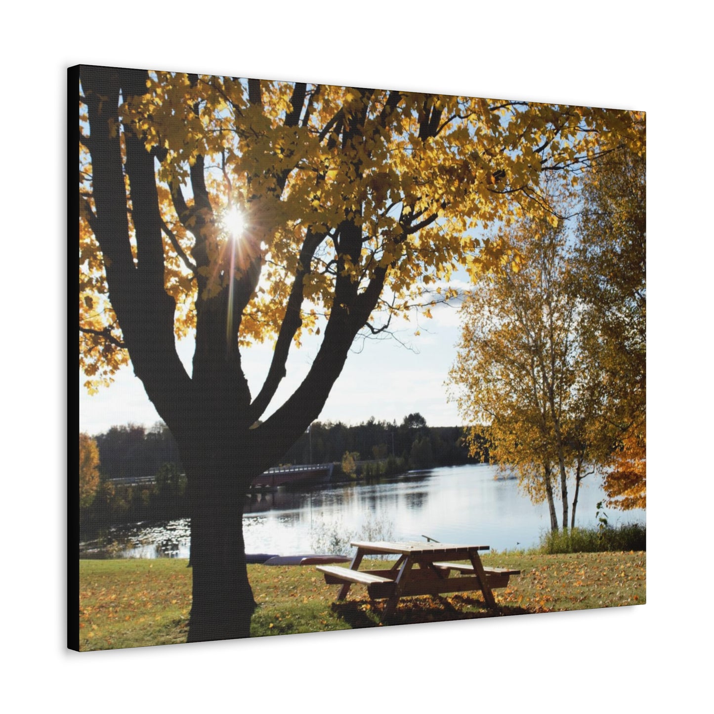 Canvas Gallery Wraps (Black Wrap) - Picinic by the river.