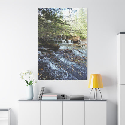 Matte Canvas, Stretched, 1.25" 2:3 Ratio Master Vertical  TEST