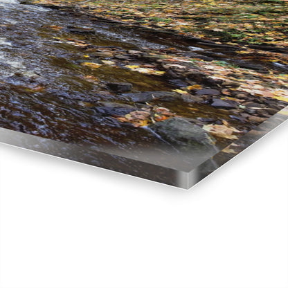 Acrylic Prints (French Cleat) Creekside Stroll