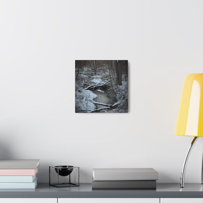 Canvas Gallery Wraps (Black Wrap) (Square) - Frozen pond in the park