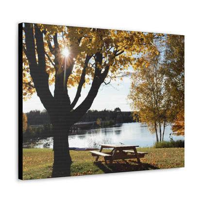 Canvas Gallery Wraps (Black Wrap) - Picinic by the river.