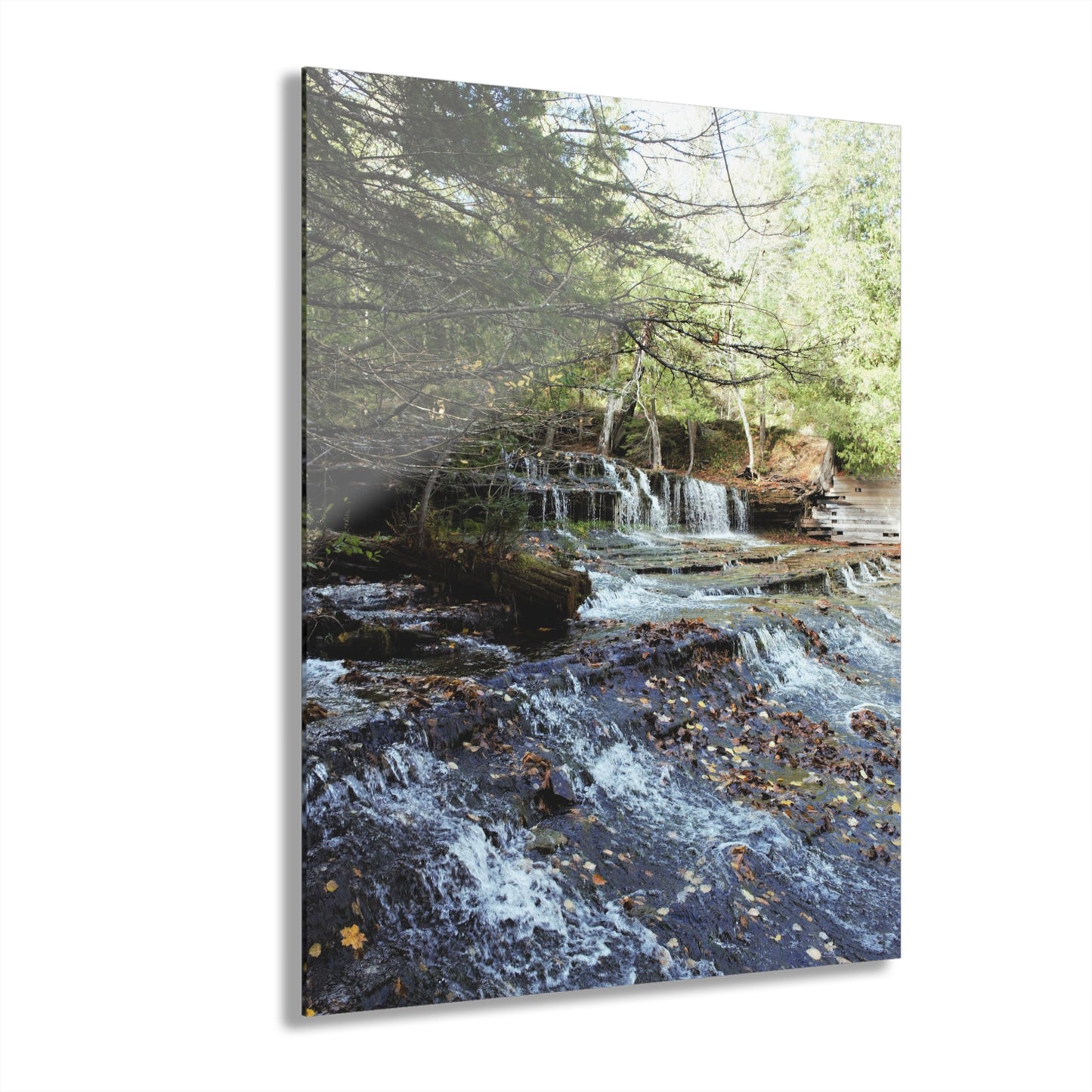 Acrylic Prints (French Cleat) Waterfall