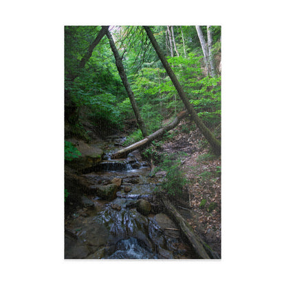 Puzzle (110, 252, 500, 1014-piece) Bonus Creek