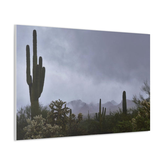 Canvas Gallery Wraps (White Wrap) Foggy day in the desert.