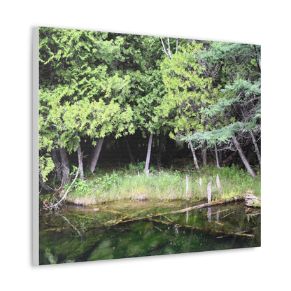 Canvas Gallery Wraps (White Wraps) Raw Nature