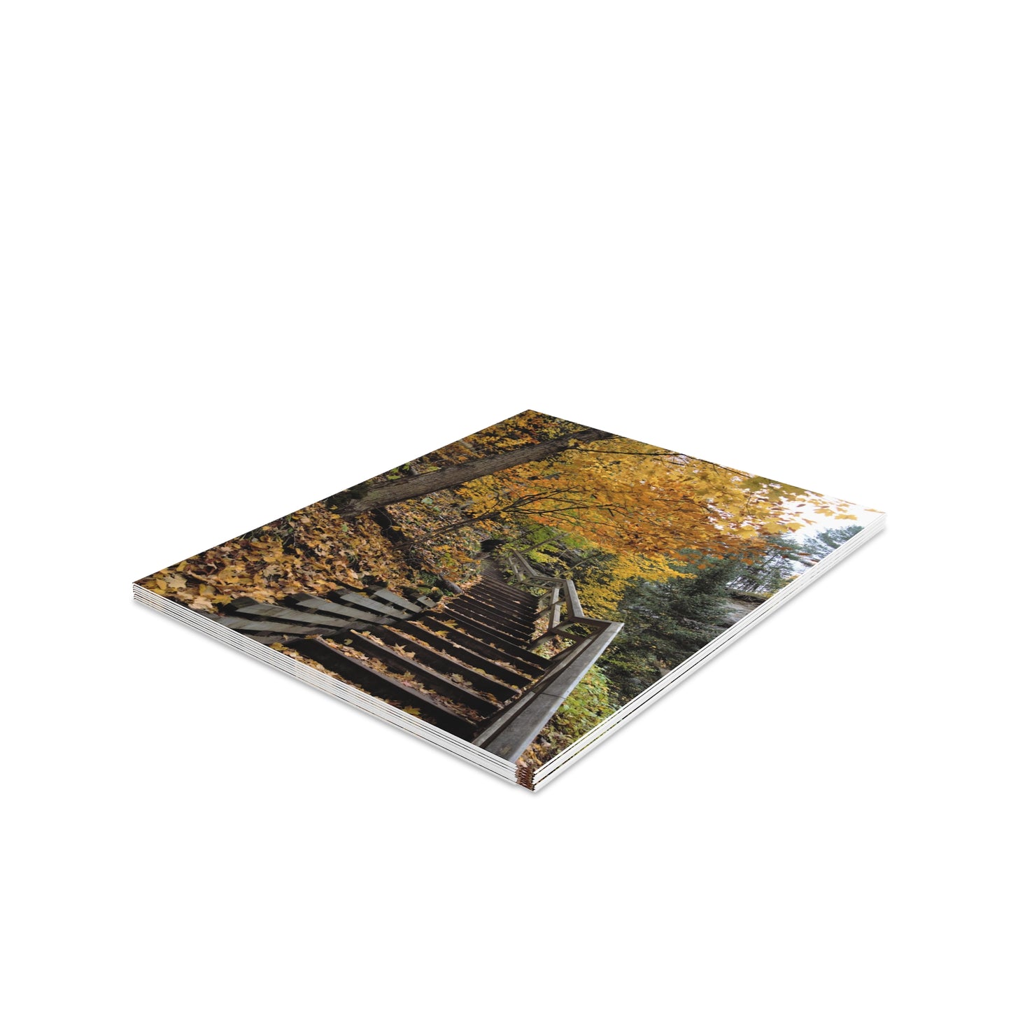 Greeting cards (8, 16, and 24 pcs) Fall walk near the falls