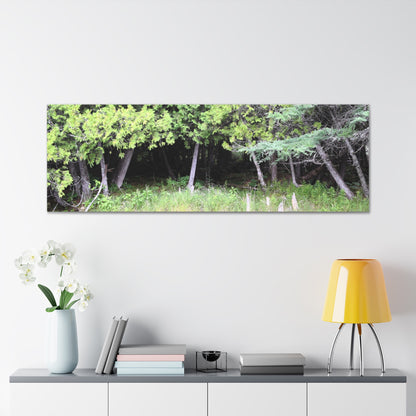 Canvas Gallery Wraps (White Wraps) Raw Nature