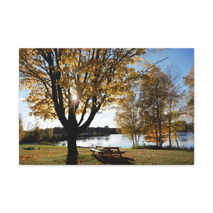 Canvas Gallery Wraps (White Wrap) - Fall picnic anyone