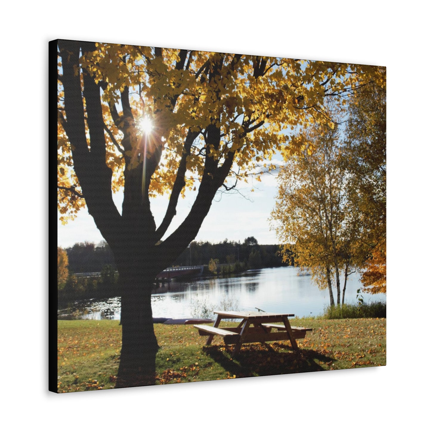 Canvas Gallery Wraps (Black Wrap) - Picinic by the river.