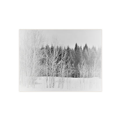 Ceramic Photo  Size 6" x 8"  Winter Field