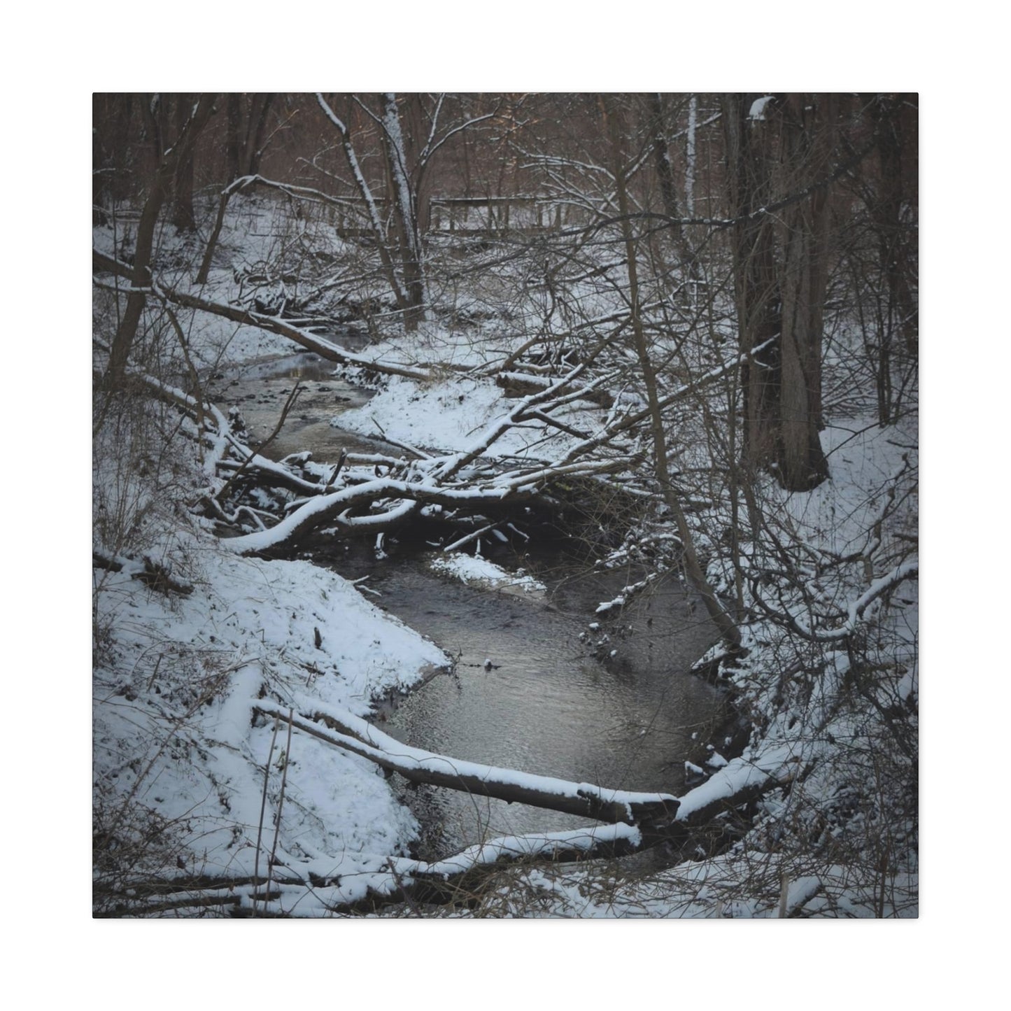 Canvas Gallery Wraps (Black Wrap) (Square) - Frozen pond in the park