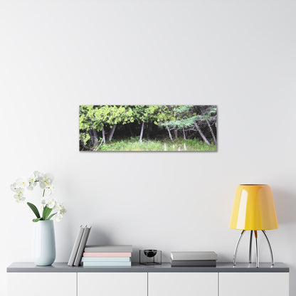 Canvas Gallery Wraps (White Wraps) Raw Nature