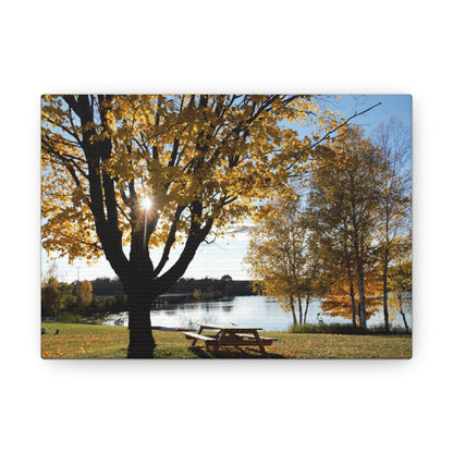 Canvas Gallery Wraps (White Wrap) - Fall picnic anyone