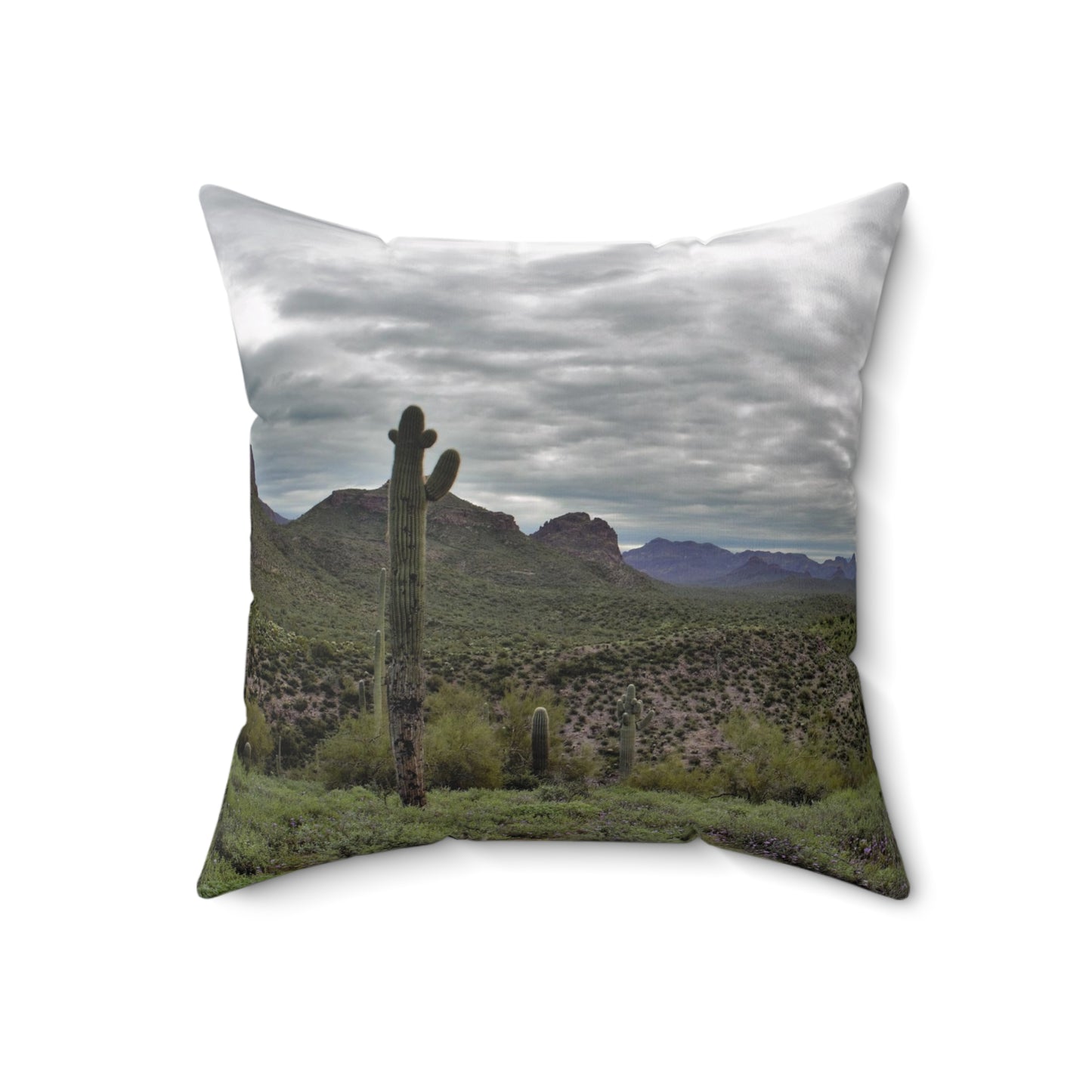 Spun Polyester Square Pillow - Views from the desert.