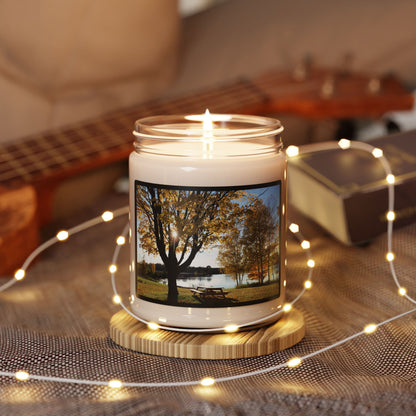 Scented Soy Candle,  Fall Colors by the River